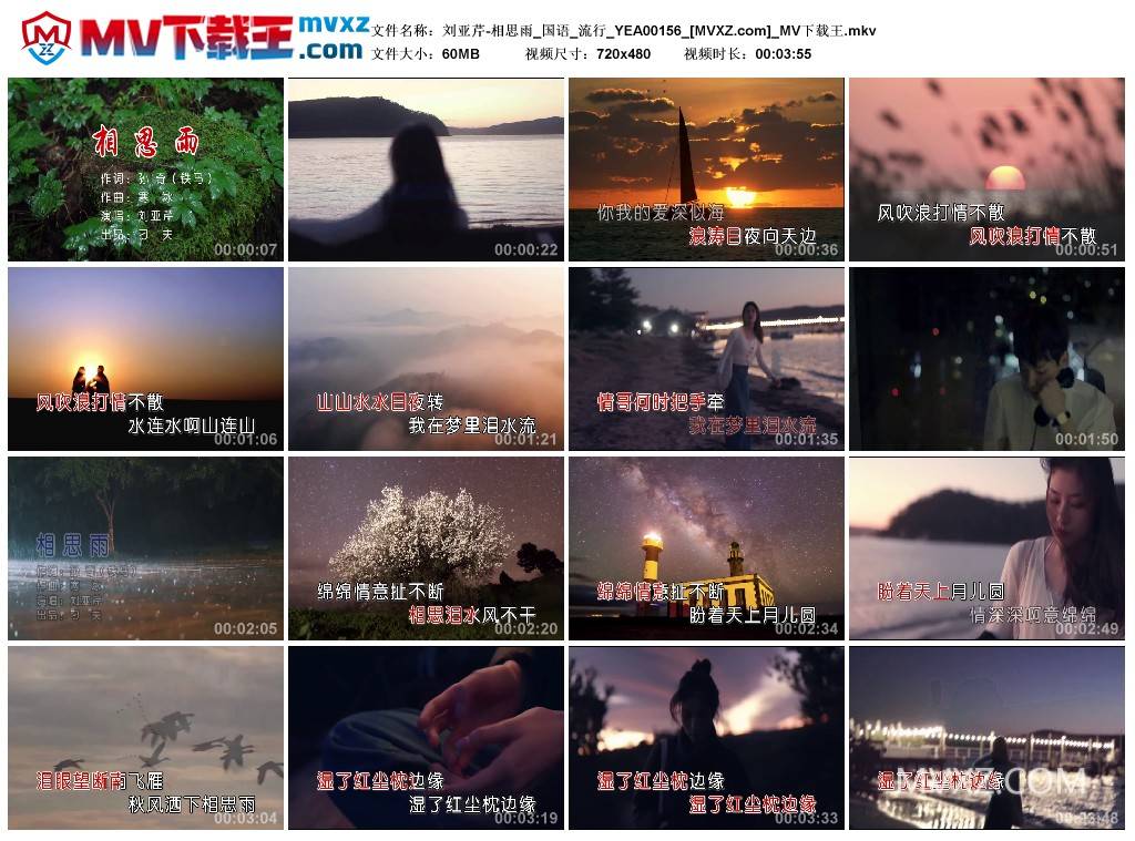 刘亚芹-相思雨_国语_流行_YEA00156